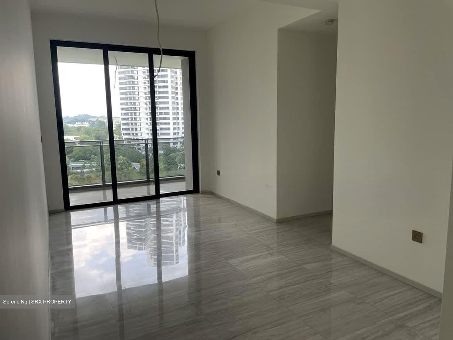Leedon Green (D10), Condominium #591910991